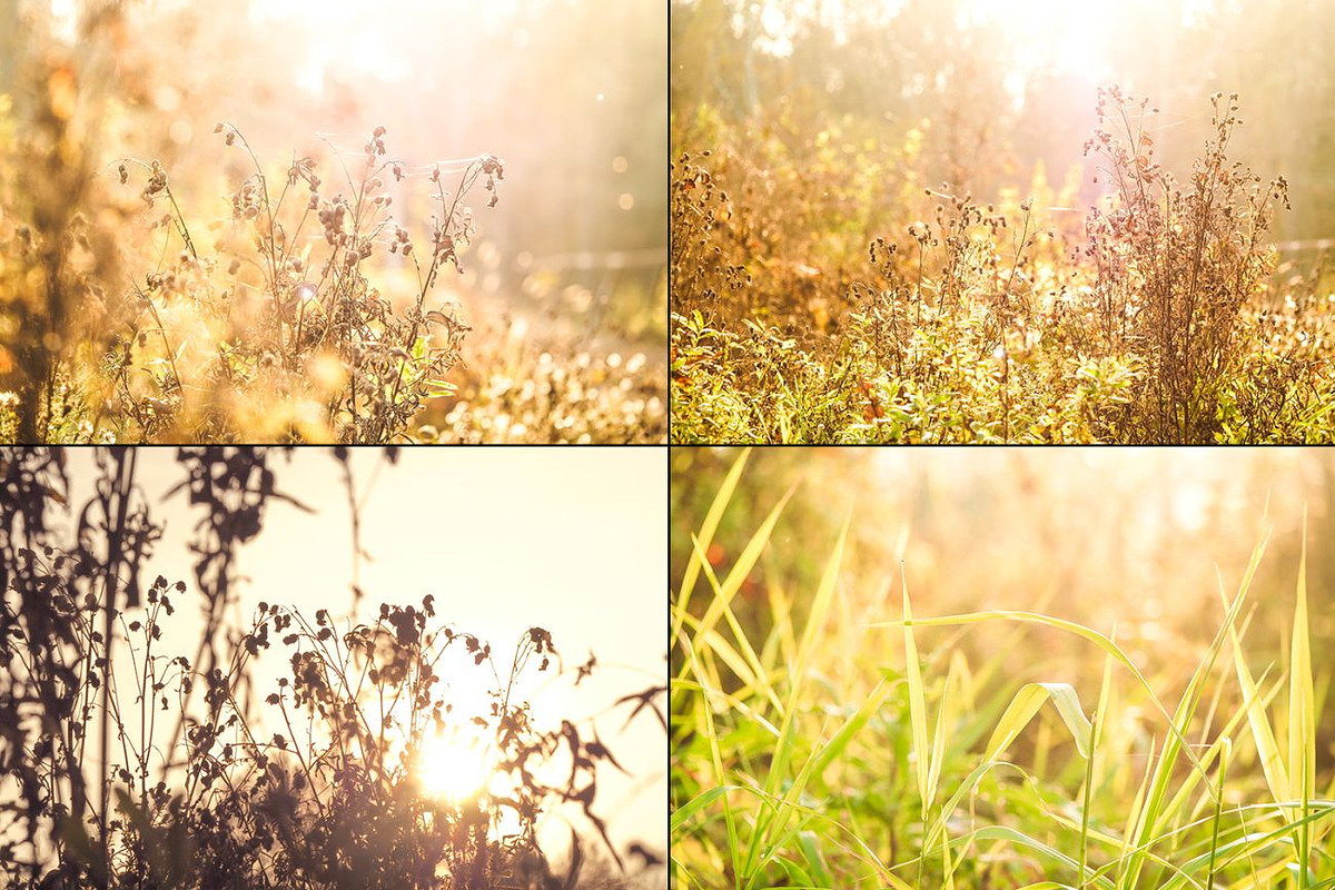 Bundle fall photos /240+pics, a Templates & Theme by tydla (Photo 9 of 11)