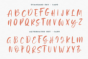 Yellowstone, a Script Font by StereoType (Thumbnail 9 of 11)