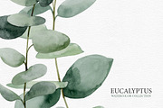 Eucalyptus collection, a Decorative Illustration by Colibri Watercolor (Thumbnail 5 of 5)