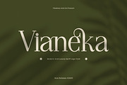 Vianeka -  Modern Luxury Serif Font, a Serif Font by Flawless And Co (Thumbnail 1 of 10)