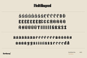 Northway, a Sans Serif Font by Damelev (Thumbnail 13 of 14)