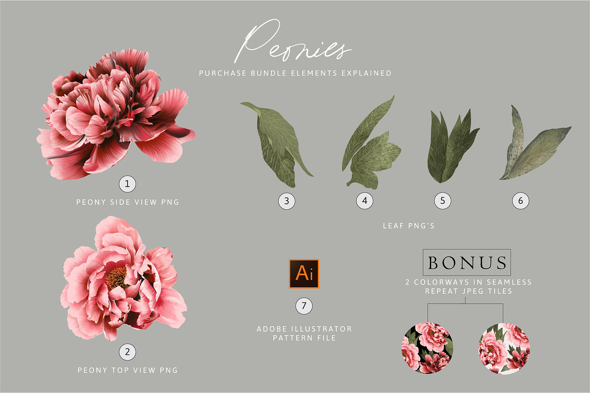Peonies PNG Elements & Pattern, a Pattern Graphic by Artifactory Studios (Photo 4 of 7)