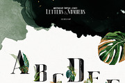 Watercolor Tropical Leaves, a Decorative Illustration by Damian Roh (Thumbnail 14 of 19)