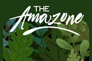 Rio de Janeiro Script Brush Font, a Script Font by WhymoreArt (Thumbnail 4 of 10)