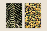 Lifestyle Bundles Collection 4, a Beauty & Fashion Photo by Floral Deco (Thumbnail 61 of 66)