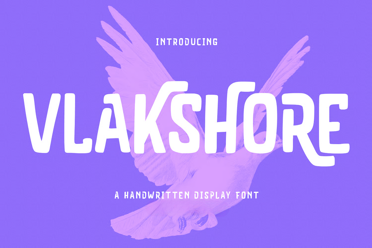 Vlakshore Decorative Display Font, a Sans Serif Font by MACK 75 (Photo 1 of 10)