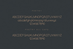 Poetry Modern Minimal Sans Duo