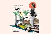 World's Best Collage Creator, an Animal Illustration by SNIPESCIENTIST (Thumbnail 23 of 48)