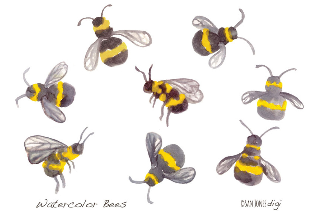 Watercolor Bees - Hand painted, an Illustration by Sandra Jones Art (Photo 1 of 2)