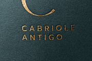 Logo Mockup, a Merchandise Mockup by DesignNeutrons (Thumbnail 4 of 4)