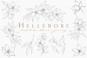 Illustrated Florals for Weddings, an Illustration by Blushed Design by Katrina (Thumbnail 1 of 6)