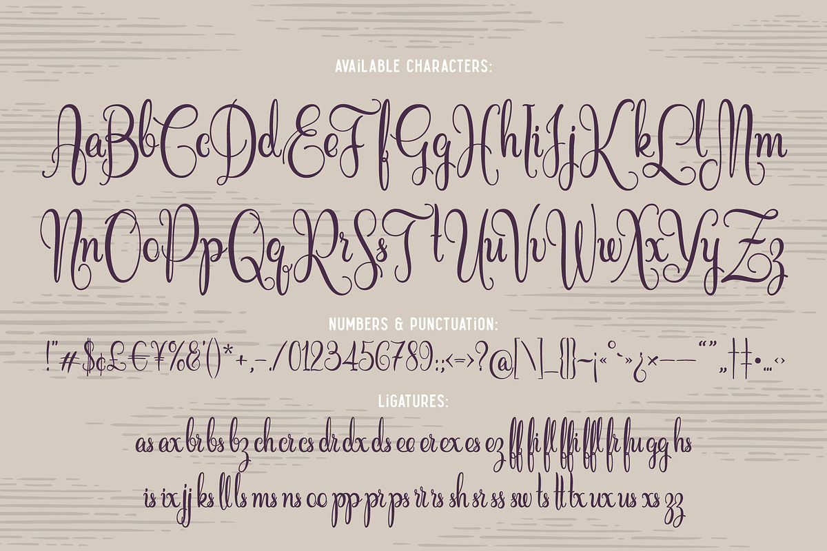 Cidrella script & graphics, a Script Font by Gleb Guralnyk (Photo 4 of 6)