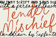 Tender Mischief DUO, a Handwritten Font by supfonts (Thumbnail 1 of 13)