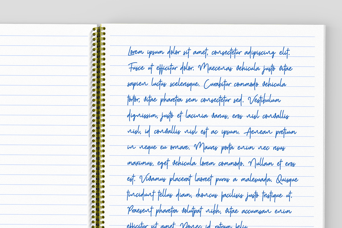 US Letter Spiral Notebook Mockup, a Books & Magazine Mockup by Illusiongraphic (Photo 27 of 32)