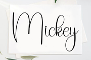 Wedding Bride, a Handwritten Font by FreshTypeINK (Thumbnail 8 of 8)