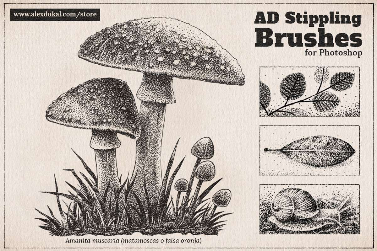 AD Stippling Brushes, a Brush Add-On by Alex Dukal (Photo 2 of 9)