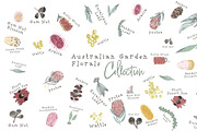 Australian Garden Florals Collection, an Illustration by sarahnalder (Thumbnail 2 of 7)