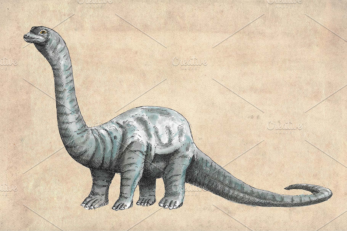 Dinosaurs Watercolour Pack Clipart, an Illustration by Doggy Days (Photo 4 of 6)