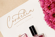 Penelope Grace - Signature Script, a Script Font by Letterhend Studio (Thumbnail 2 of 10)