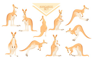 Set of cute adult kangaroo