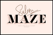 Solar Vesta | Font Collection, a Script Font by Anthony James (Thumbnail 5 of 12)