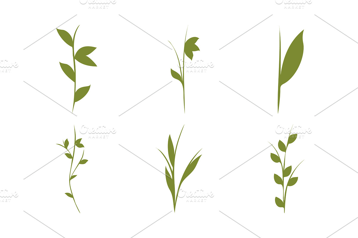 Green plant stems set vector, an Object Illustration by okskukuruza