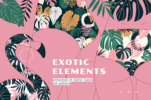 Exotic Elements