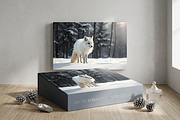 Arctic Fox in Winter Snow Photo, an Animal Photo by Aura Canyon HQ (Thumbnail 5 of 6)