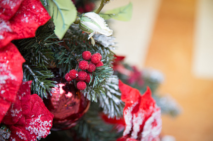 Berries on a Christmas tree, a Holiday Photo by Maria Kray