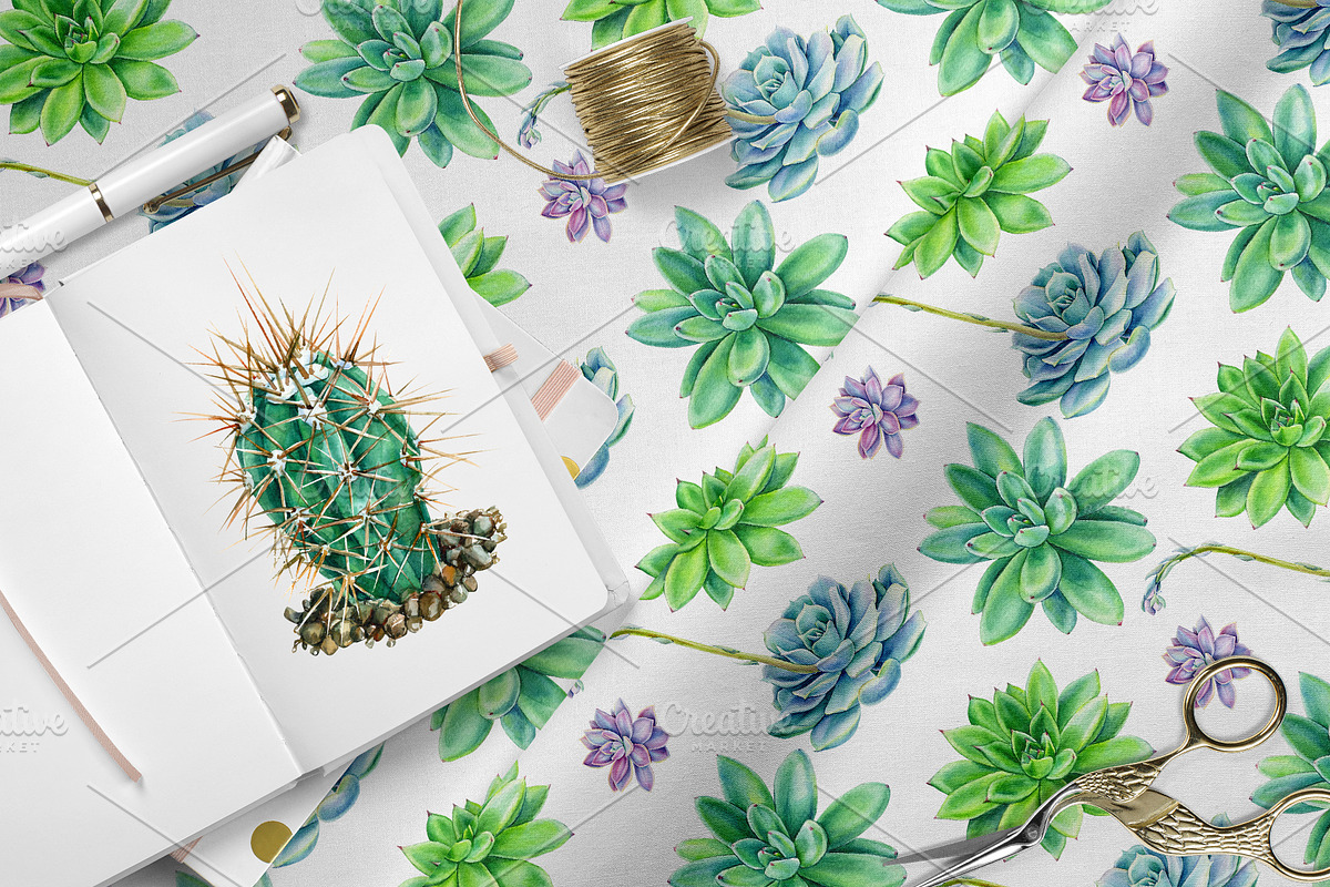 watercolor cacti and succulents, a Decorative Illustration by Hanna Hryharenka (Photo 7 of 9)