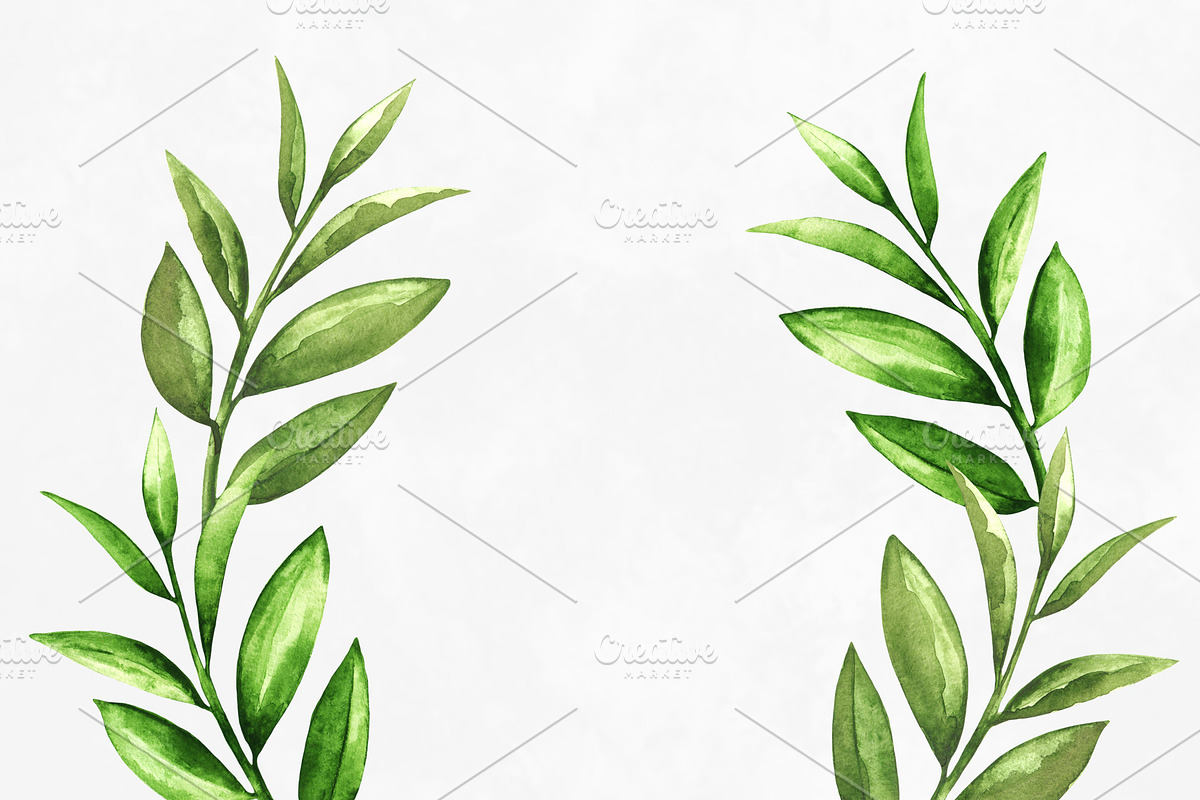 Watercolor Green Leaves, a Healthcare Illustration by Color_Brush (Photo 7 of 8)