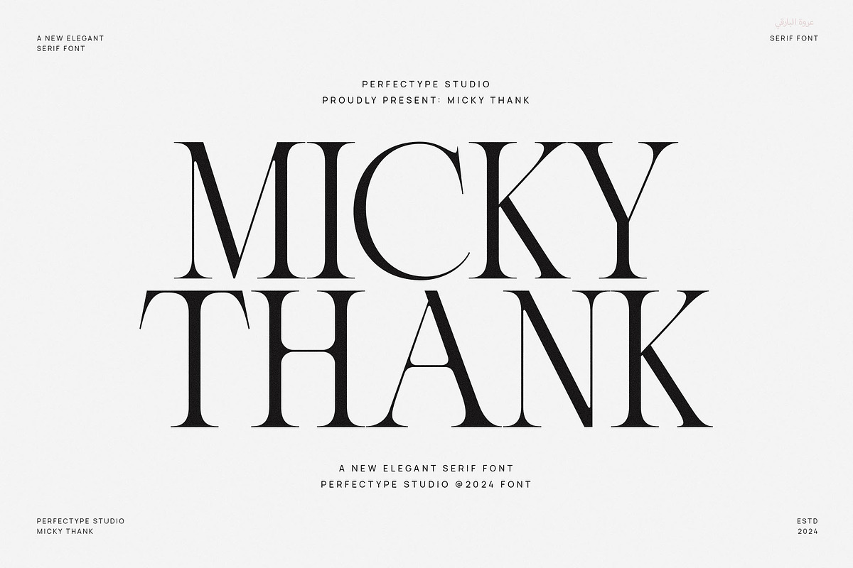 Micky Thank Minimalist Serif Font, a Serif Font by Perfectype (Photo 1 of 8)