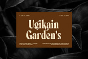 Annutte Elegant Serif Display Font, a Serif Font by Elegant Font (Thumbnail 6 of 8)