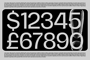 ChairoSans, a Sans Serif Font by Propertype (Thumbnail 2 of 14)