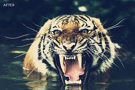 Cinema Photoshop Actions, an Action Add-On by Photography Planet