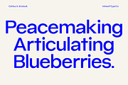 Caliburn Grotesk | Modern Variable, a Sans Serif Font by InkwellTypeCo (Thumbnail 12 of 15)