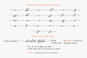 Charlotte Stylish Modern Calligraphy, a Handwritten Font by Myn Type (Thumbnail 18 of 19)