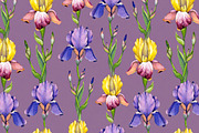 Watercolor iris flowers kit, a Texture Illustration by Sundra (Thumbnail 6 of 9)