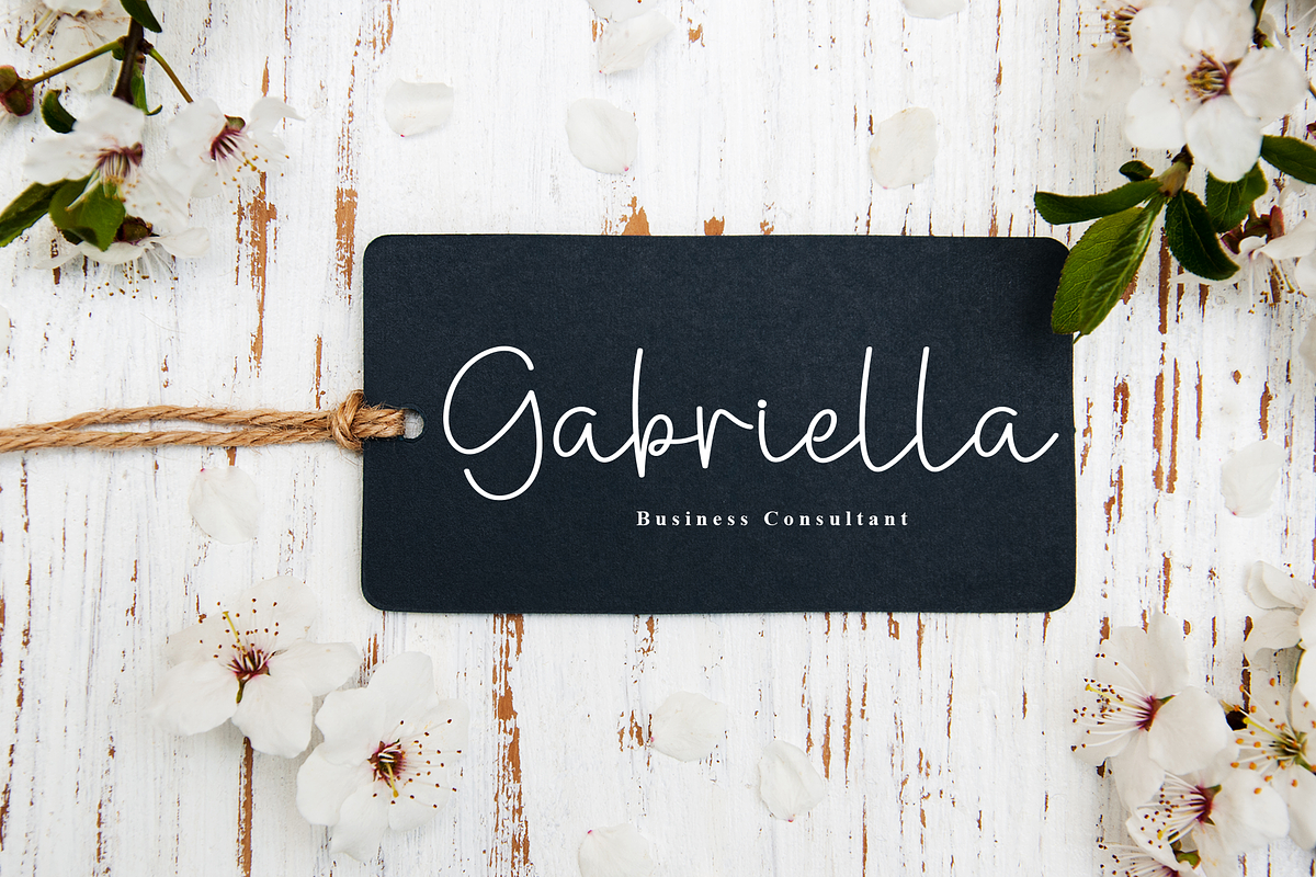 Samanta Signatur | Script Font, a Handwritten Font by Scratchones (Photo 3 of 8)