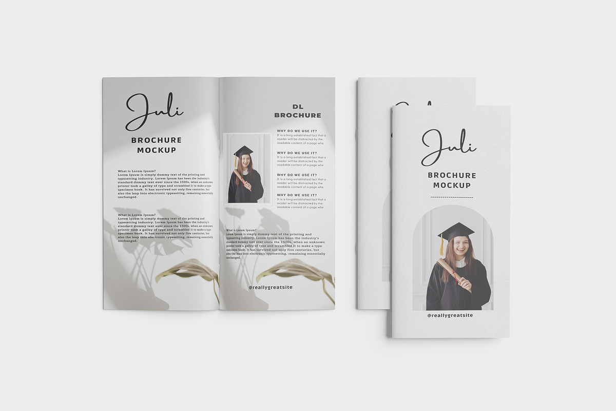 DL Brochure / Magazine Mockup, a Print Template by mahhyud (Photo 9 of 11)