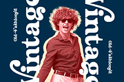 Husty Birds Modern Retro Serif, a Serif Font by timelesstype.co (Thumbnail 14 of 20)