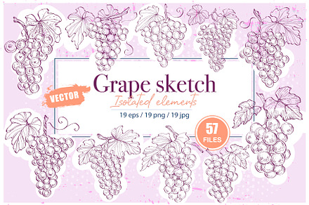 Grape sketch illustration, a Food Illustration by Samira