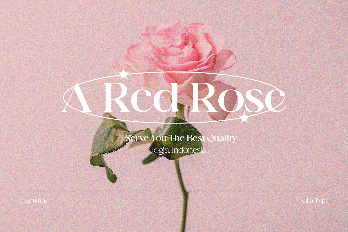 Legquinne 50% Off, a Font by Jolicia Type (Photo 3 of 13)