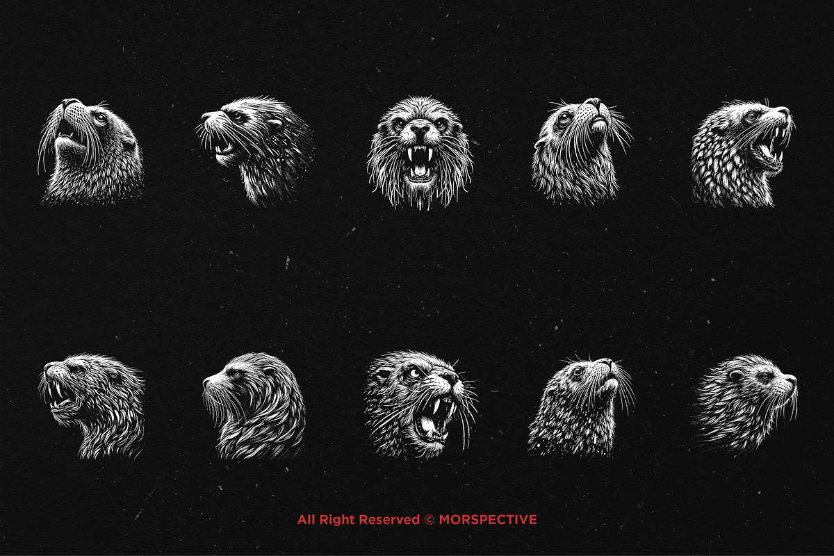 10 Bundle Dark Art Sea Lion Ocean, an Illustration by Morspective (Photo 6 of 7)