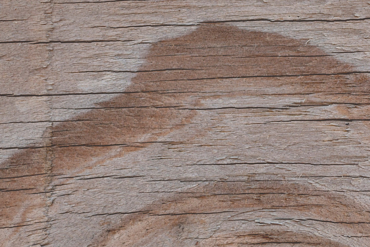 GSTC - Wood grain, a Texture Graphic by The Shop (Photo 15 of 48)