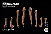 Procreate 3d Models (4K) Bundle, a Brush Add-On by Luuuka studio (Thumbnail 9 of 10)