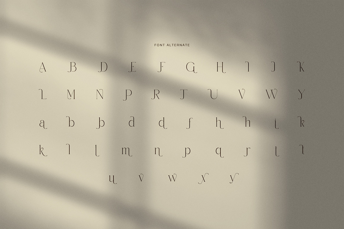Nemika Elegant Serif Font, a Serif Font by Graphicxell (Photo 8 of 8)