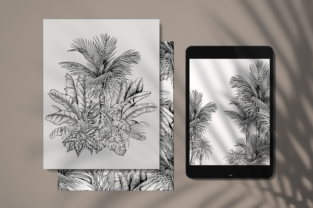 Tropical black& white plants, a Decorative Illustration by Jeanna Draw (Photo 13 of 19)