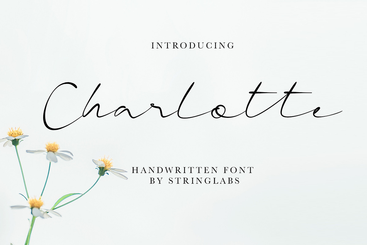 Charlotte - Casual Handwritten Font