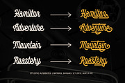 Montagna - Elegant Monoline, a Script Font by Arterfak Project (Thumbnail 9 of 13)